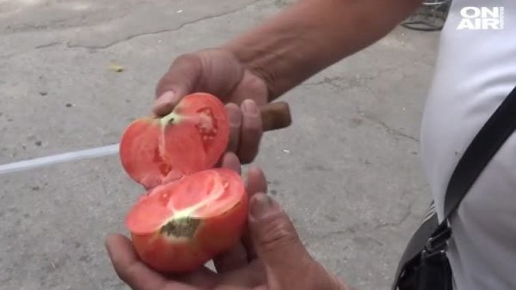 Из борсата: Българско или вносно &ndash; най-важна е цената!