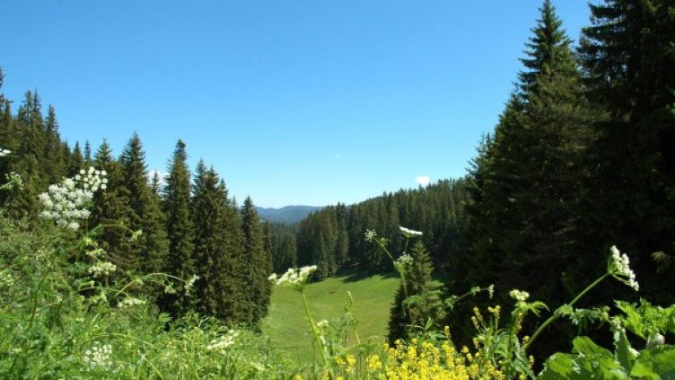 Снимка: Булфото, архив