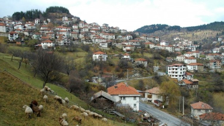 Архив: Булфото