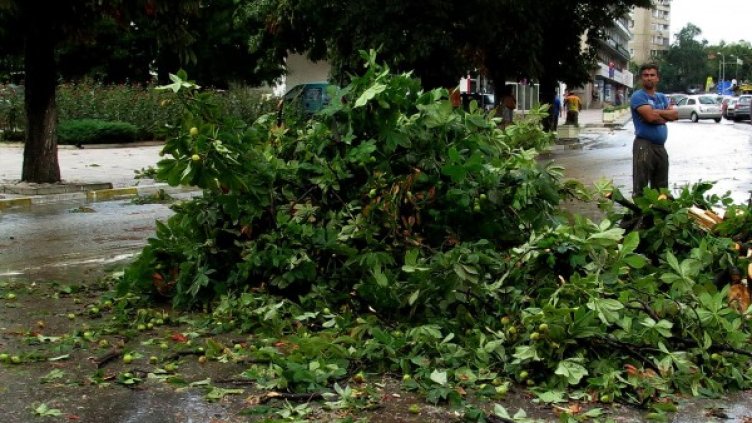 Снимка: архив "Булфото"