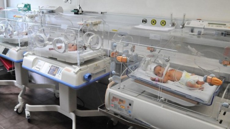 Снимка: Булфото, архив