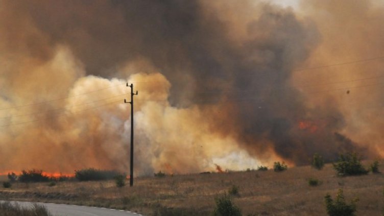 Снимка: Архив, Булфото