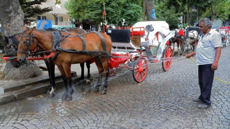 Снимка: архив, Булфото