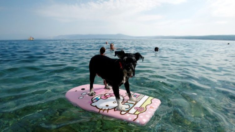 Снимка: архив, Reuters