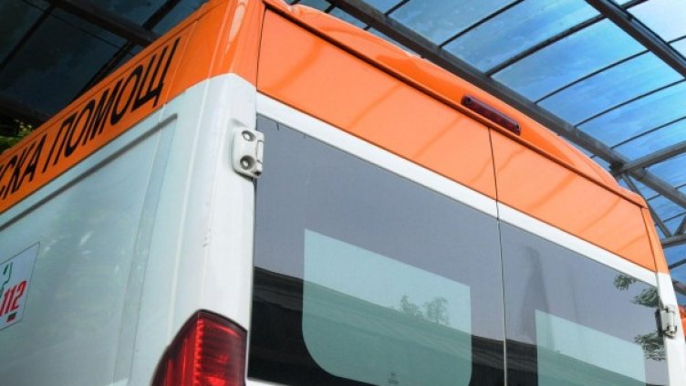 Снимка: Архив, Булфото