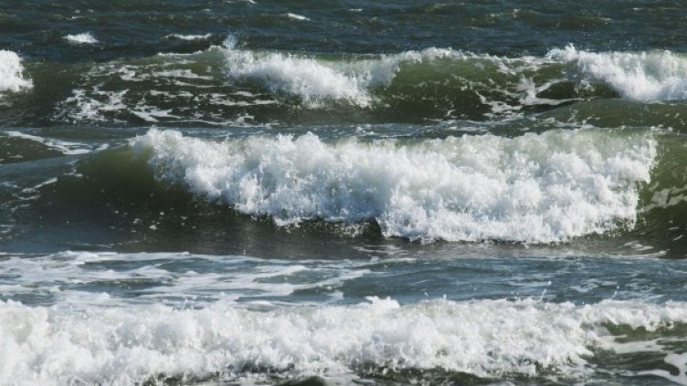 Снимка: архив Булфото