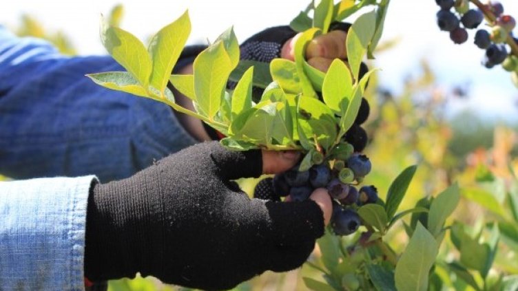 Снимка:  Reuters, архив