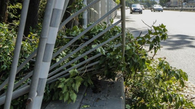 Снимка: архив Булфото