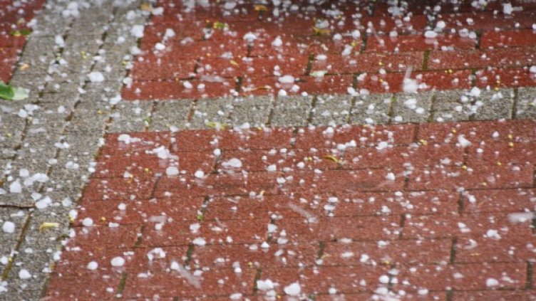 Снимка: архив, БулФото