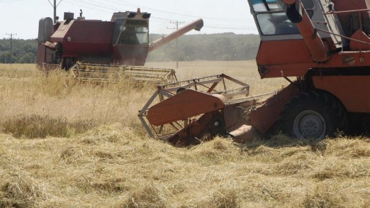 Архив: Булфото