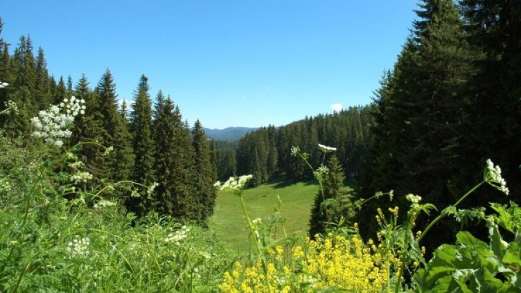 Снимка: Булфото, архив