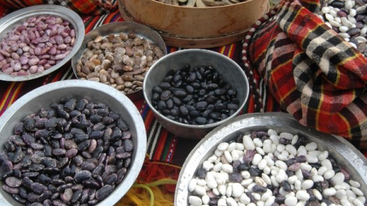 Архив: Булфото