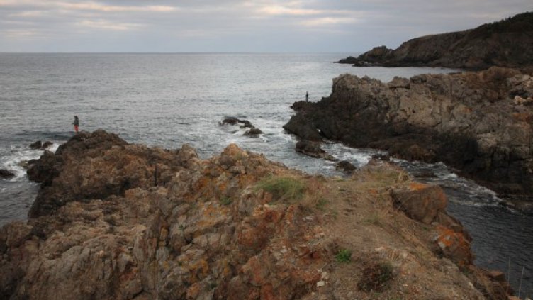 Снимка: wikipedia.org