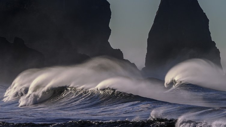 Снимка: Pixabay