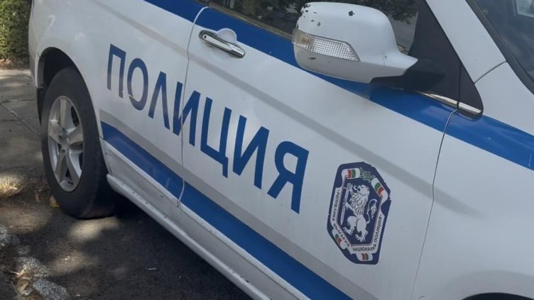 Снимка: архив, БГНЕС