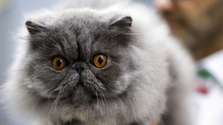 Снимка: Reuters, архив