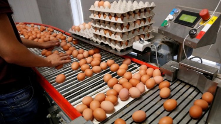 Снимка: Reuters