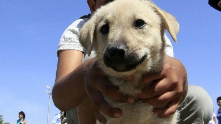 Снимка: архив, Булфото