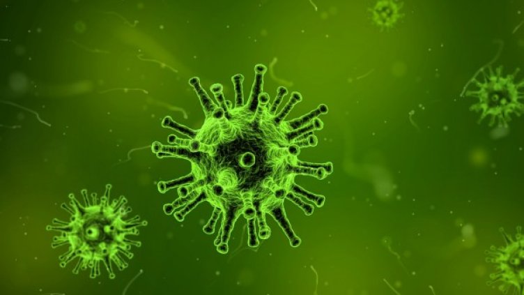 Снимка: pixabay