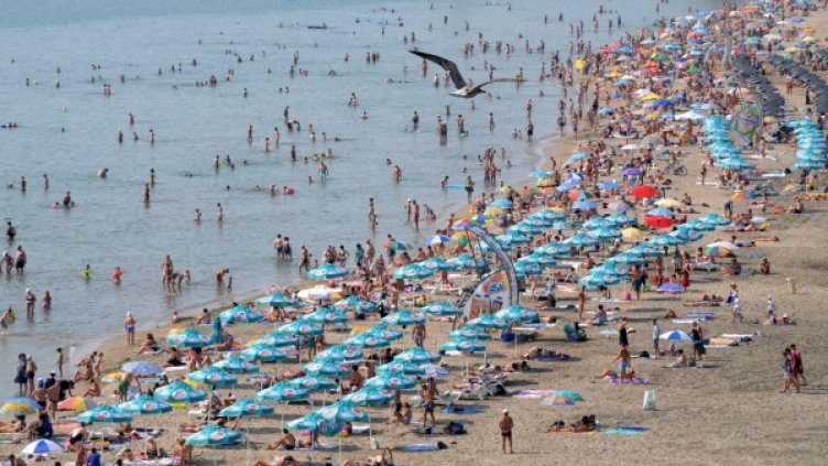 Снимка: архив, Булфото