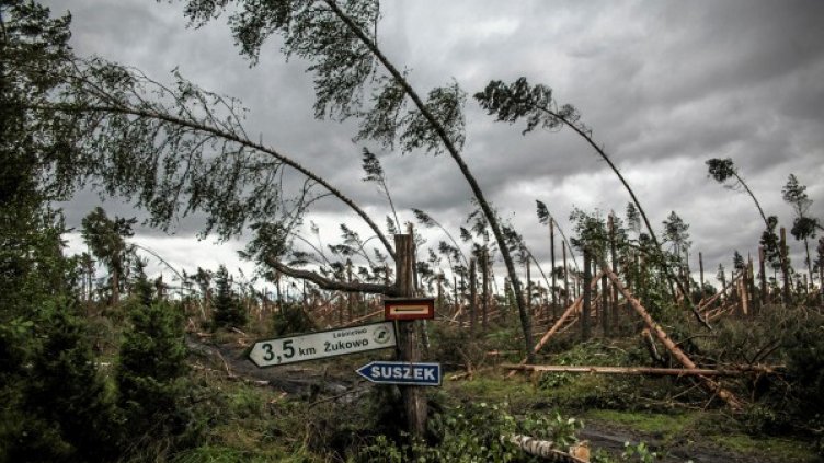 Снимка: Reuters