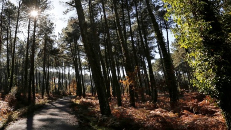 Снимка: архив, Reuters