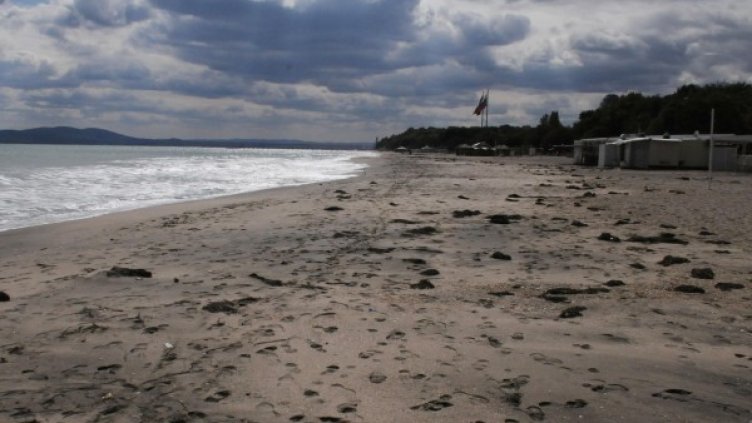 Снимка: архив, Булфото