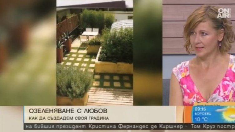 Снимка: Bulgaria On Air