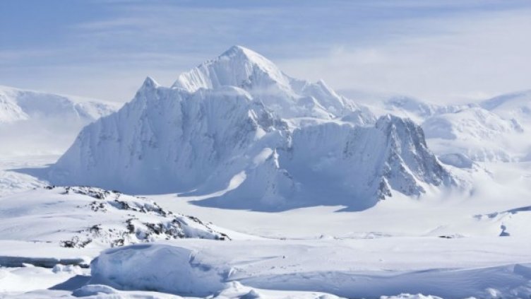 Снимка: flickr