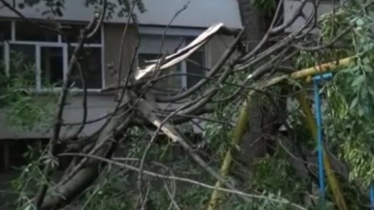 Снимка: Нова телевизия