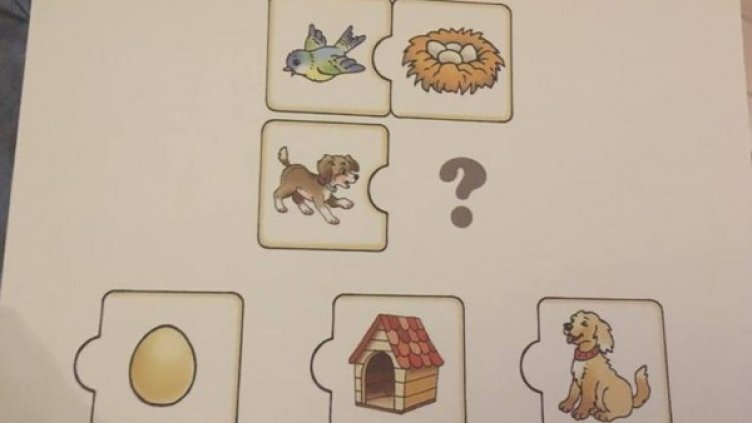 Снимка: "Монитор"