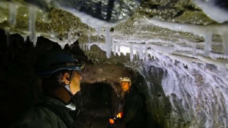 Снимка: "Монитор"