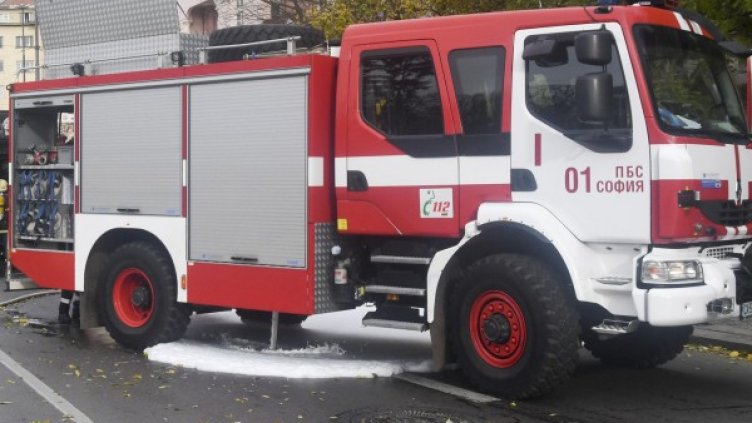 Снимка: архив, Булфото