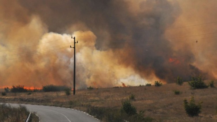 Снимка: архив Булфото