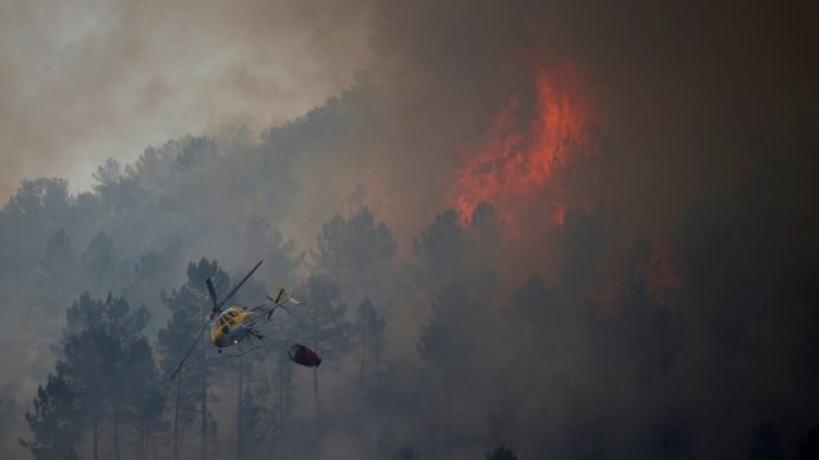 Снимка: Reuters