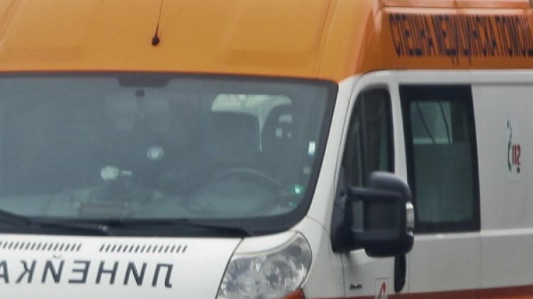 Снимка: Архив, Булфото