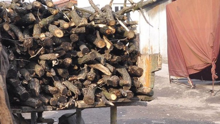 Снимка: Булфото, архив