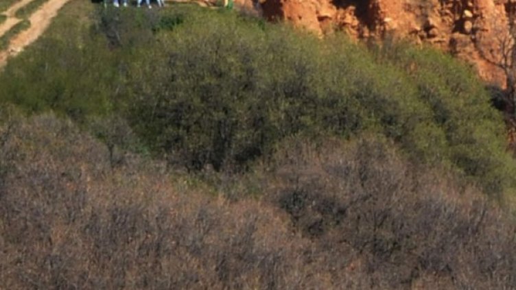 Снимка: Булфото, архив