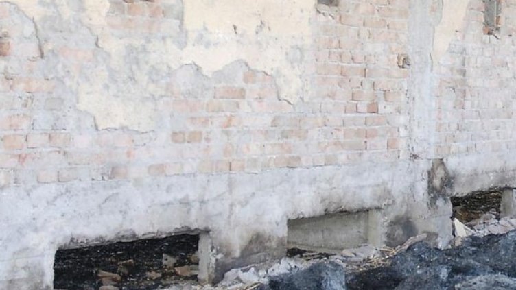 Снимка: Булфото, архив