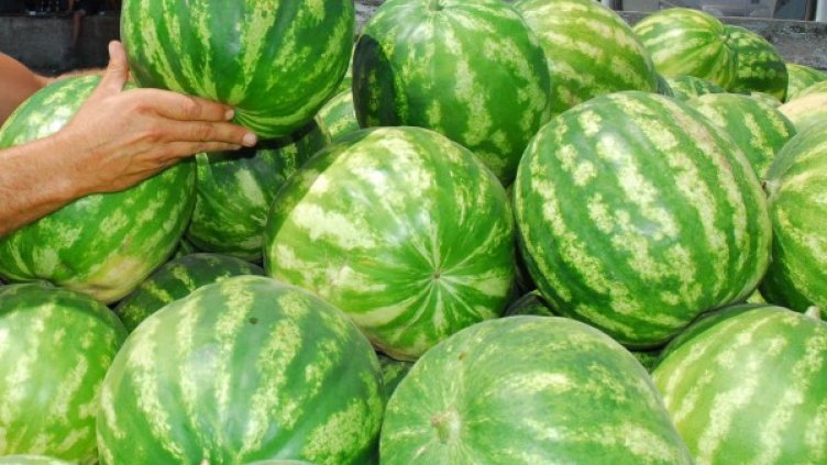 Снимка: Булфото