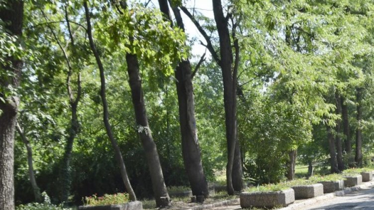 Снимка: Булфото