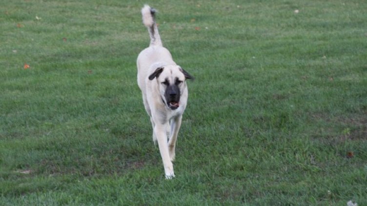 Снимка: Flickr