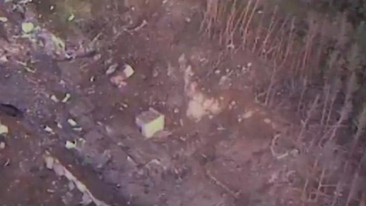 Архив: Булфото