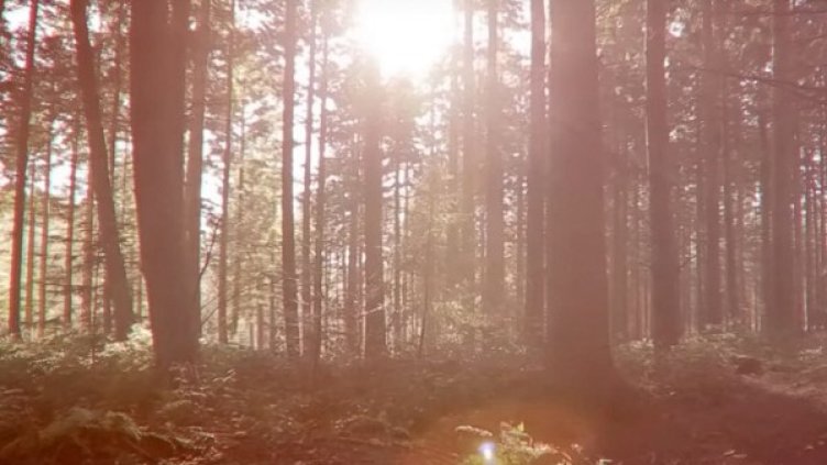 Снимка: кадър Youtube