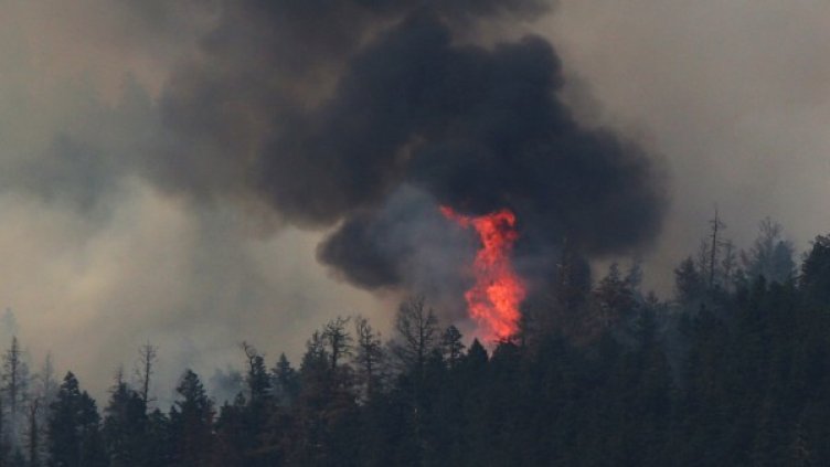 Снимка: Reuters