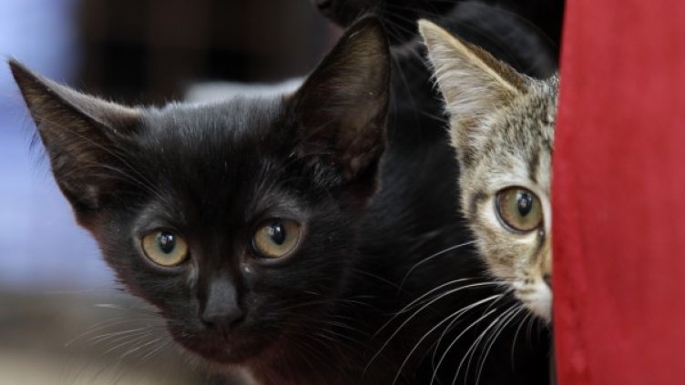 Снимка: архив, Reuters