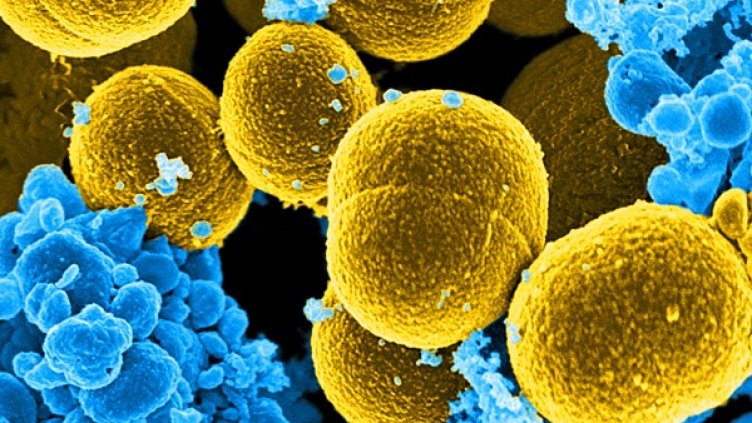 Снимка: архив, Reuters