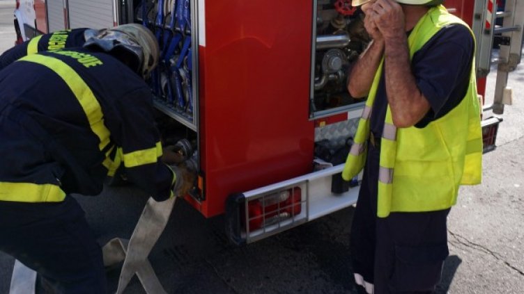 Архив: Булфото