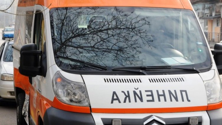 Снимка: Булфото, архив