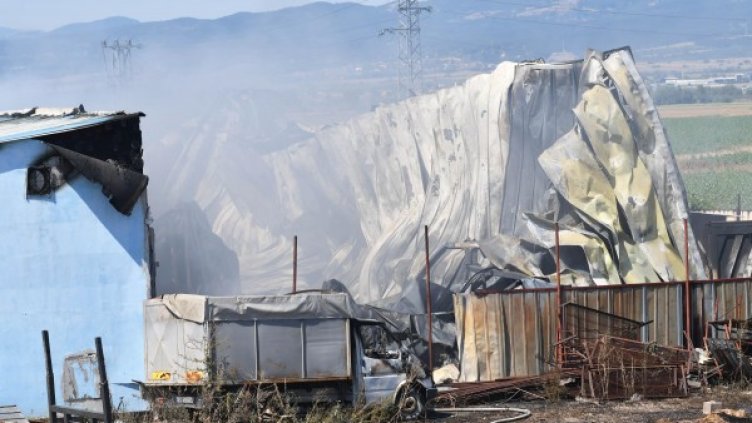 Снимка: Булфото